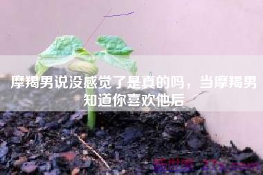 摩羯男说没感觉了是真的吗，当摩羯男知道你喜欢他后