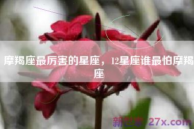 摩羯座最厉害的星座，12星座谁最怕摩羯座