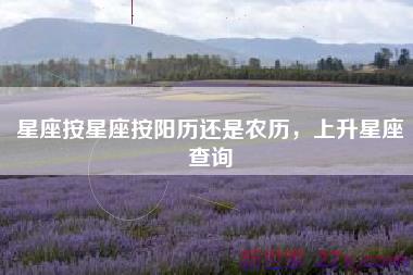 星座按星座按阳历还是农历，上升星座查询