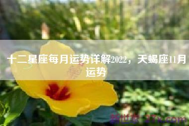 十二星座每月运势详解2022，天蝎座11月运势