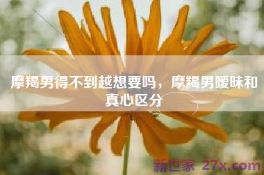 摩羯男得不到越想要吗，摩羯男暧昧和真心区分