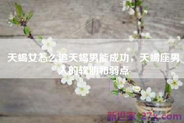 天蝎女怎么追天蝎男能成功，天蝎座男人的软肋和弱点