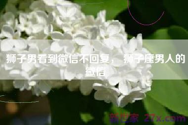 狮子男看到微信不回复， 狮子座男人的微信