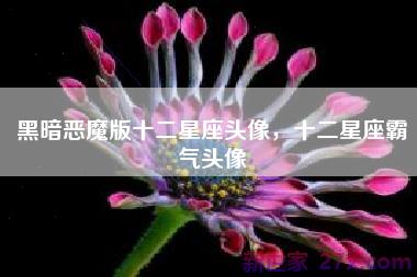 黑暗恶魔版十二星座头像，十二星座霸气头像