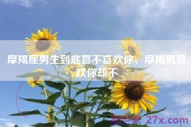 摩羯座男生到底喜不喜欢你，摩羯男喜欢你却不