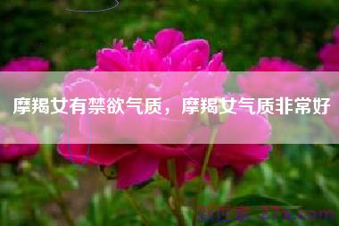 摩羯女有禁欲气质，摩羯女气质非常好