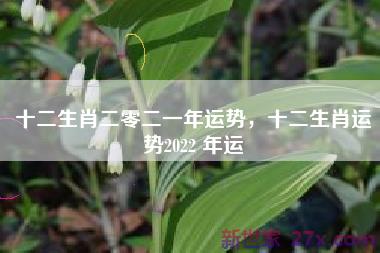 十二生肖二零二一年运势，十二生肖运势2022 年运