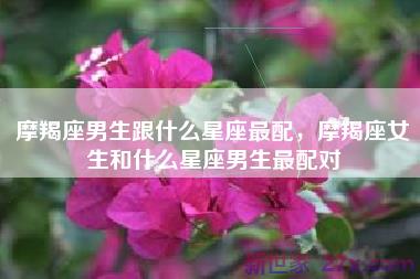 摩羯座男生跟什么星座最配，摩羯座女生和什么星座男生最配对