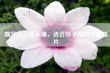 霸气双子座头像，适合双子座的头像图片