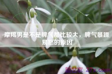 摩羯男是不是脾气都比较大，脾气暴躁易怒的原因