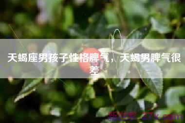 天蝎座男孩子性格脾气，天蝎男脾气很差