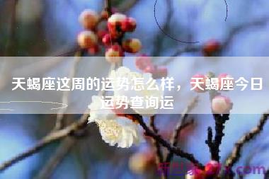 天蝎座这周的运势怎么样，天蝎座今日运势查询运