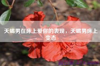 天蝎男在床上爱你的表现，天蝎男床上变态