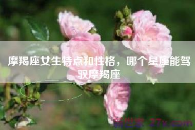 摩羯座女生特点和性格，哪个星座能驾驭摩羯座