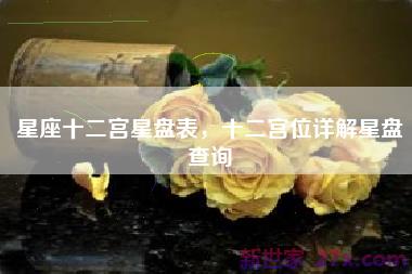 星座十二宫星盘表，十二宫位详解星盘查询