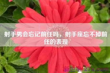 射手男会忘记前任吗，射手座忘不掉前任的表现
