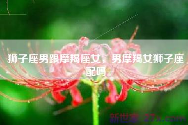 狮子座男跟摩羯座女，男摩羯女狮子座配吗