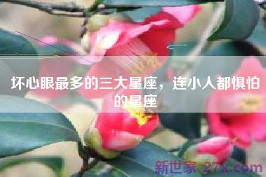 坏心眼最多的三大星座，连小人都惧怕的星座