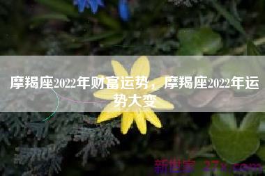 摩羯座2022年财富运势，摩羯座2022年运势大变