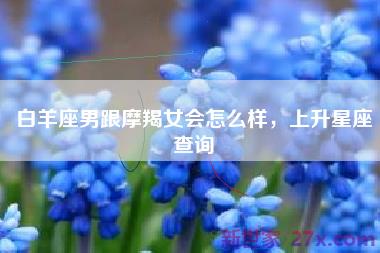 白羊座男跟摩羯女会怎么样，上升星座查询