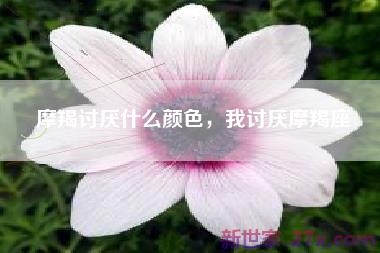 摩羯讨厌什么颜色，我讨厌摩羯座
