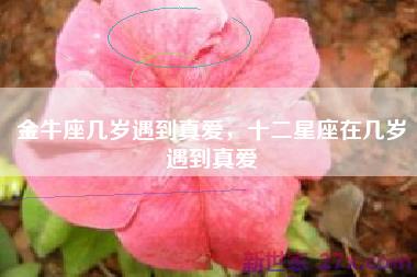 金牛座几岁遇到真爱，十二星座在几岁遇到真爱