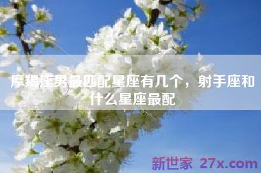 摩羯座男最匹配星座有几个，射手座和什么星座最配