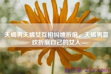 天蝎男天蝎女互相纠缠折磨，天蝎男喜欢折磨自己的女人