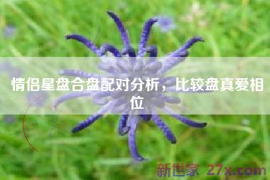 情侣星盘合盘配对分析，比较盘真爱相位
