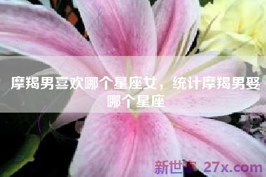 摩羯男喜欢哪个星座女，统计摩羯男娶哪个星座