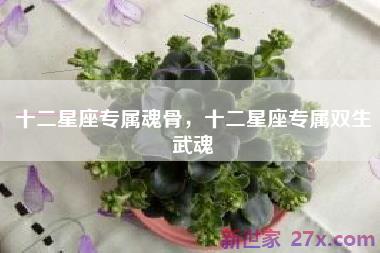 十二星座专属魂骨，十二星座专属双生武魂