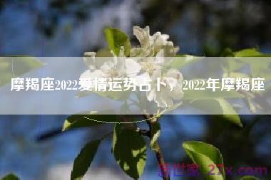 摩羯座2022爱情运势占卜，2022年摩羯座