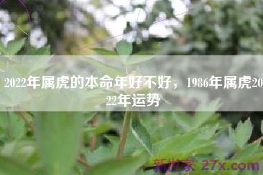2022年属虎的本命年好不好，1986年属虎2022年运势