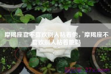 摩羯座喜不喜欢别人粘着他，摩羯座不喜欢别人粘着她吗