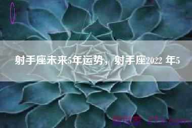 射手座未来5年运势，射手座2022 年5
