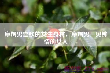 摩羯男喜欢的女生身材，摩羯男一见钟情的女人