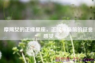 摩羯女的正缘星座，正缘来临前的征兆感觉