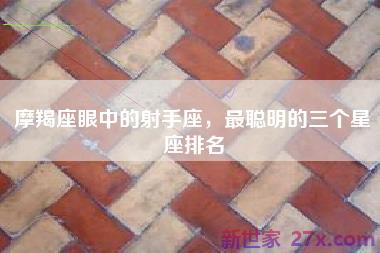 摩羯座眼中的射手座，最聪明的三个星座排名