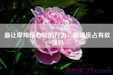 最让摩羯座心软的行为，摩羯座占有欲强吗