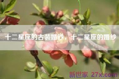 十二星座的古装婚纱，十二星座的婚纱