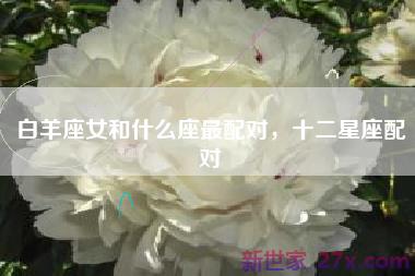 白羊座女和什么座最配对，十二星座配对