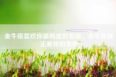 金牛座喜欢你最明显的表现，金牛座真正爱你的表现