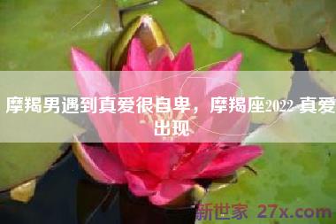 摩羯男遇到真爱很自卑，摩羯座2022 真爱出现