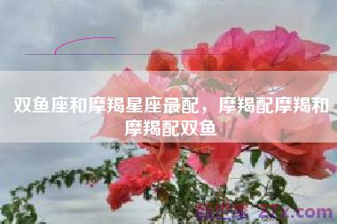 双鱼座和摩羯星座最配，摩羯配摩羯和摩羯配双鱼