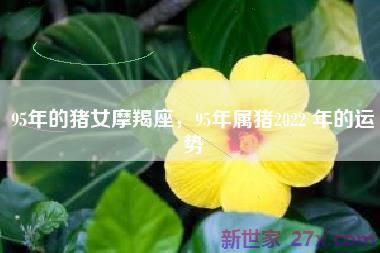 95年的猪女摩羯座，95年属猪2022 年的运势