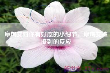 摩羯女对你有好感的小细节，摩羯女被撩到的反应