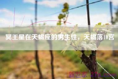 冥王星在天蝎座的男生性，天蝎落10宫