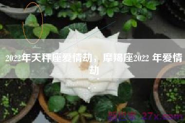 2022年天秤座爱情劫，摩羯座2022 年爱情劫