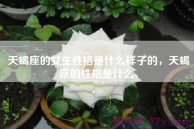 天蝎座的女生性格是什么样子的，天蝎座的性格是什么-