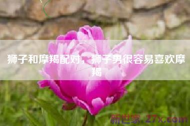 狮子和摩羯配对，狮子男很容易喜欢摩羯